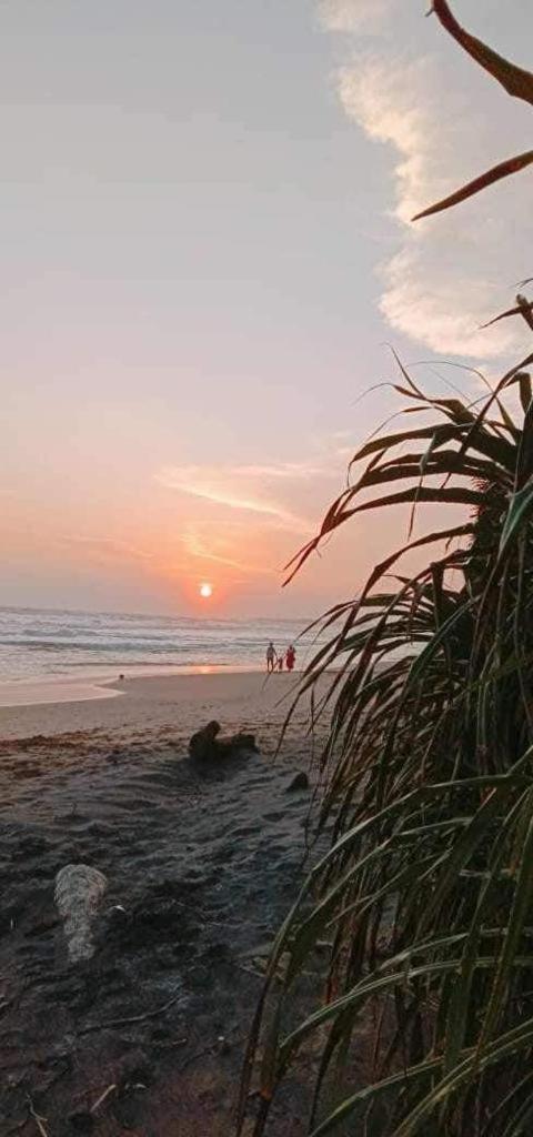 Lion Paradise Surf Beach Матара Екстериор снимка